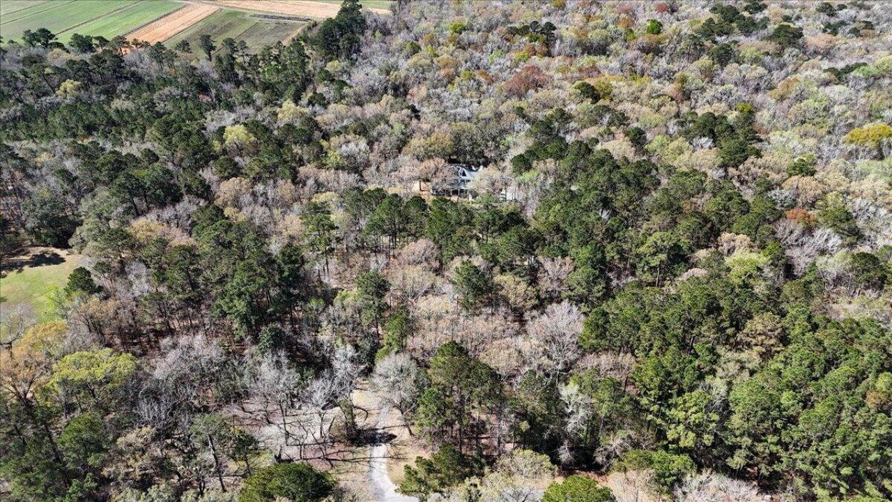 1901 Long Creek Road Photo 94