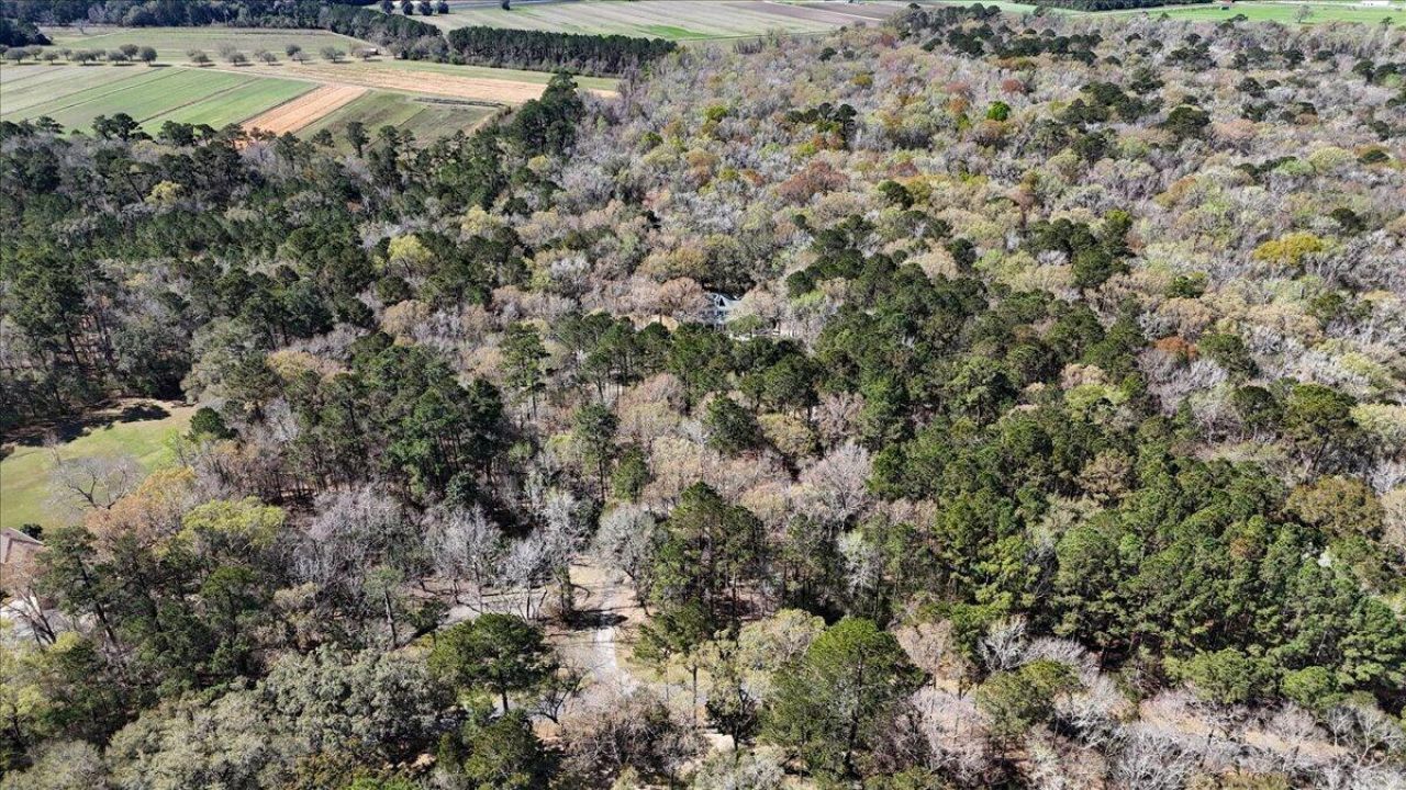 1901 Long Creek Road Photo 96