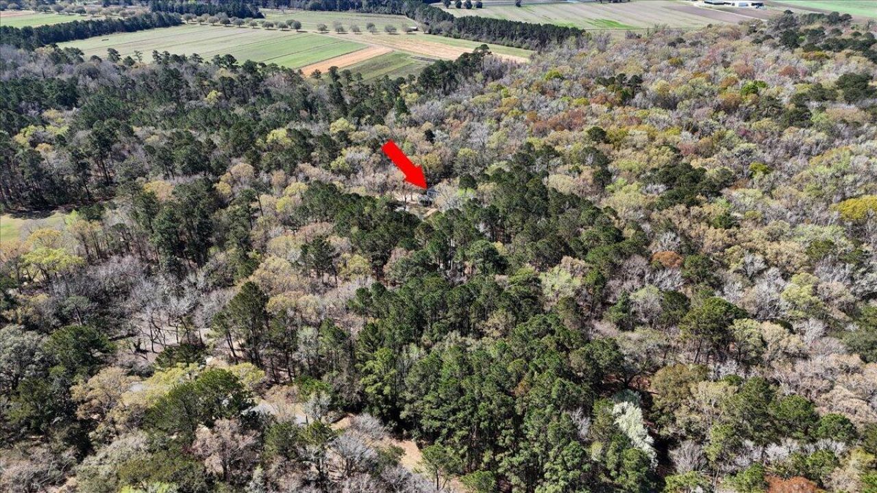 1901 Long Creek Road Photo 97