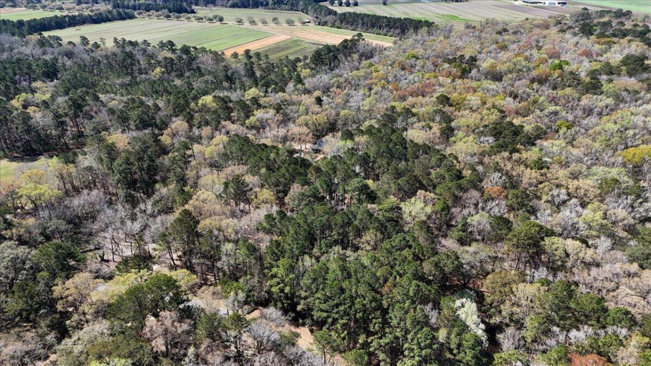 1901 Long Creek Road Photo 98