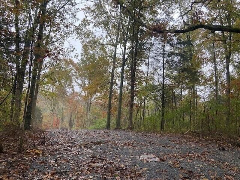 817 Galbraith Road, Brooksville, KY 41004 Photo 2