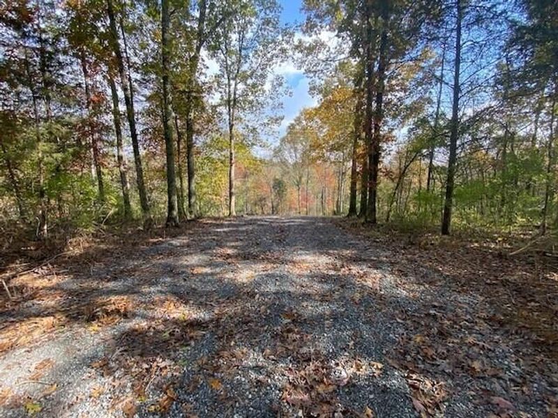 817 Galbraith Road, Brooksville, KY 41004 Photo 3