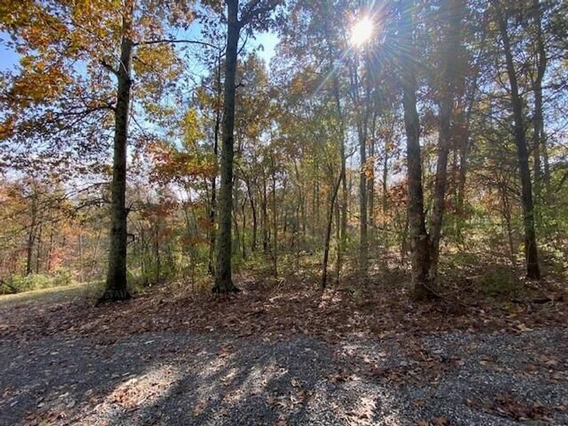 817 Galbraith Road, Brooksville, KY 41004 Photo 4