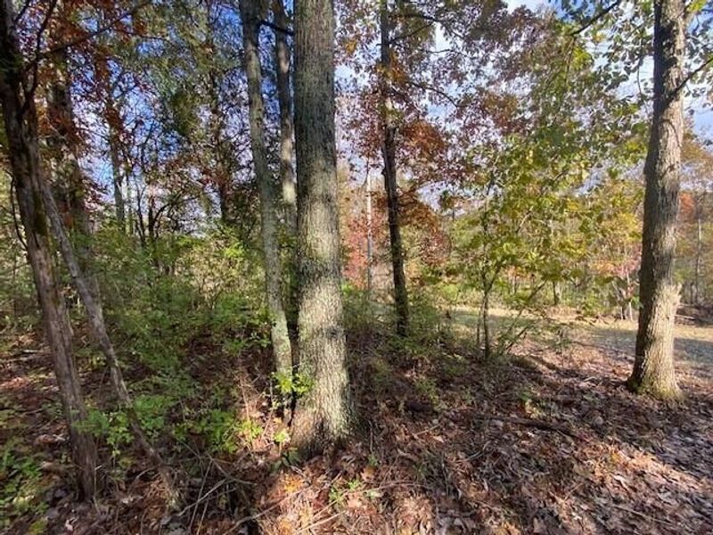 817 Galbraith Road, Brooksville, KY 41004 Photo 5
