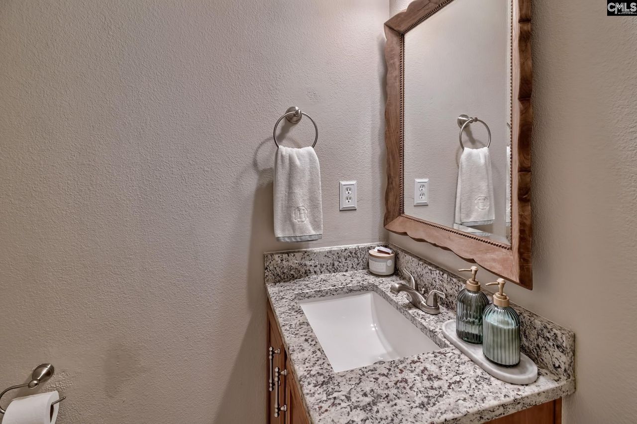 466 Robins Egg Drive  Photo 15