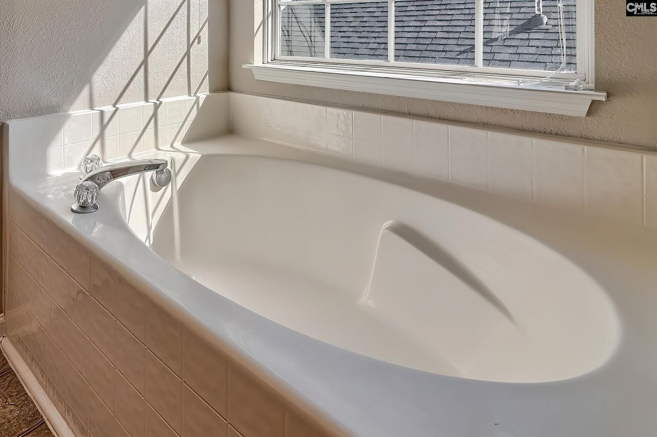 466 Robins Egg Drive  Photo 19