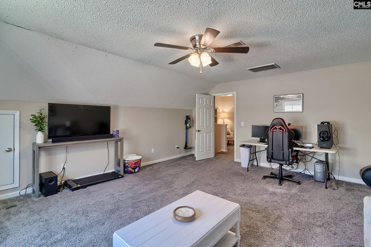 466 Robins Egg Drive  Photo 27