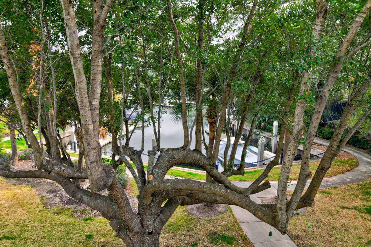 9 Transom Court Photo 36