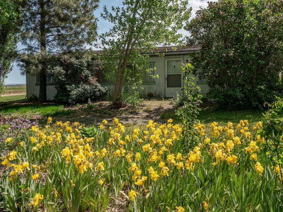 Property Image 55
