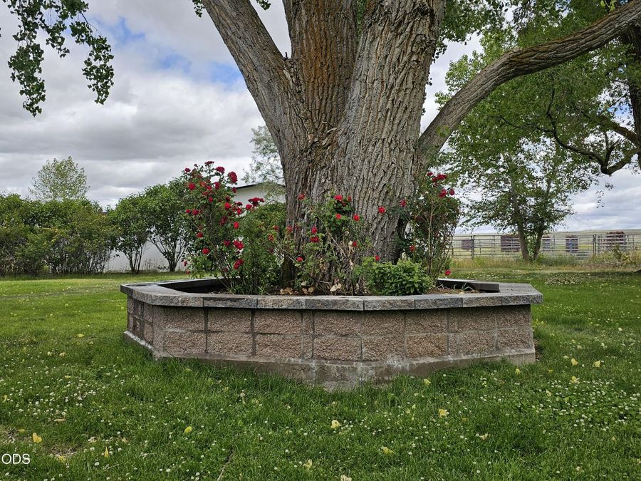 Property Image 67