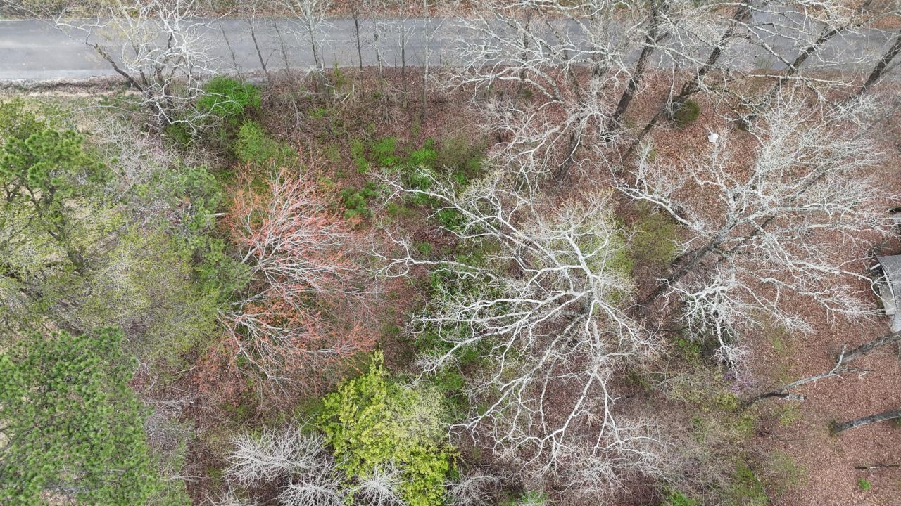 Lot 45 Calfee Lane Se, Cleveland, TN 37323 Main Photo