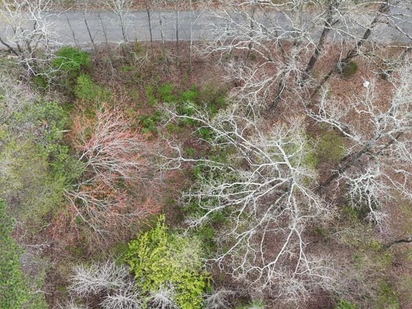 Lot 45 Calfee Lane SE, Cleveland, TN 37323