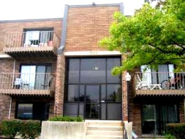 733 LIMERICK Lane , Unit 3D, Schaumburg, IL 60193