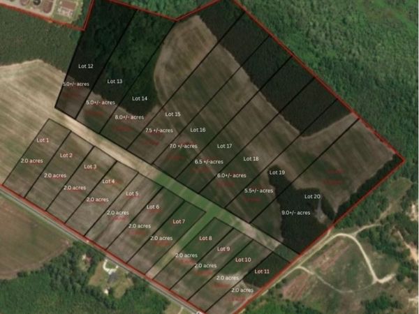 Mt. Tabor Road, Red Springs, NC 28377