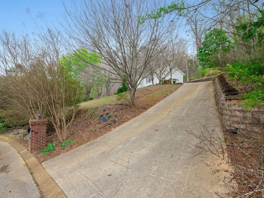 Property Image 57