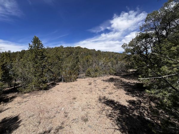 26 Lindsey Lane, Tijeras, NM 87059