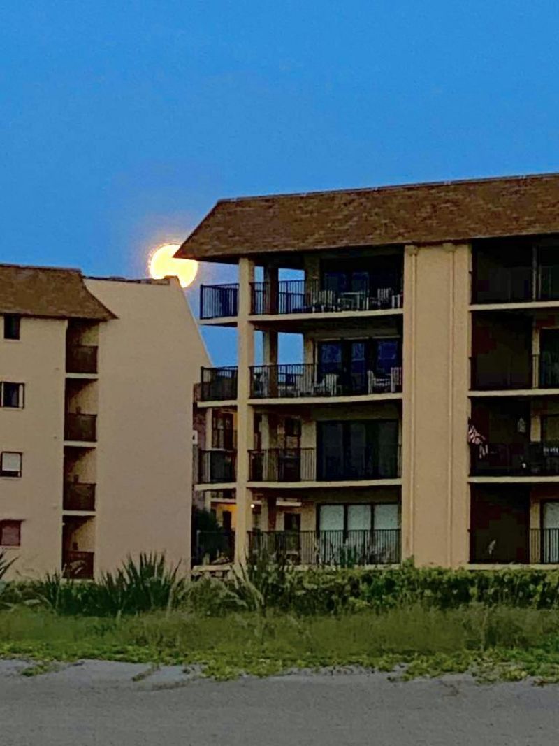 8500 Ridgewood Avenue, Unit 406, Cape Canaveral, FL 32920 Photo