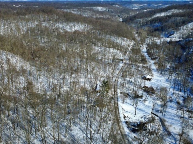 965 Back Run Road, Philo, OH 43771 Photo 2