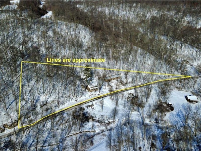 965 Back Run Road, Philo, OH 43771 Photo 3