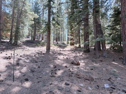 Gold Dust Trl, South Lake Tahoe, CA 96150 Photo