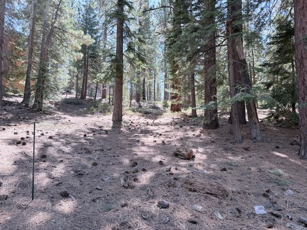 Gold Dust Trl, South Lake Tahoe, CA 96150