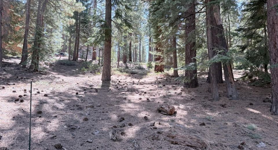 Gold Dust Trl, South Lake Tahoe, CA 96150 Photo