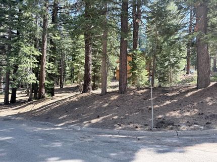 Gold Dust Trl, South Lake Tahoe, CA 96150 Photo