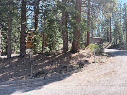Gold Dust Trl, South Lake Tahoe, CA 96150 Photo