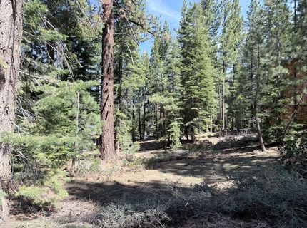 Gold Dust Trl, South Lake Tahoe, CA 96150 Photo