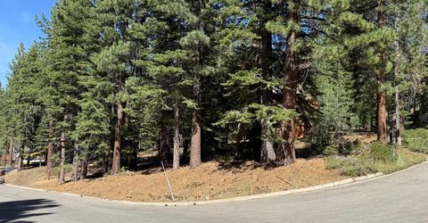 Gold Dust Trl, South Lake Tahoe, CA 96150 Photo