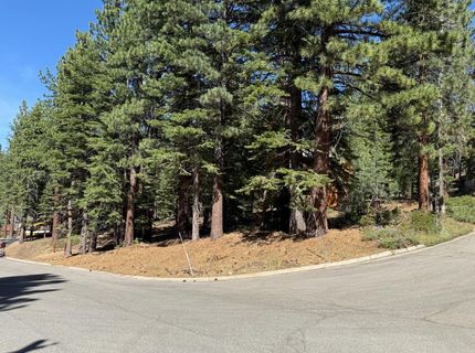 Gold Dust Trl, South Lake Tahoe, CA 96150 Photo