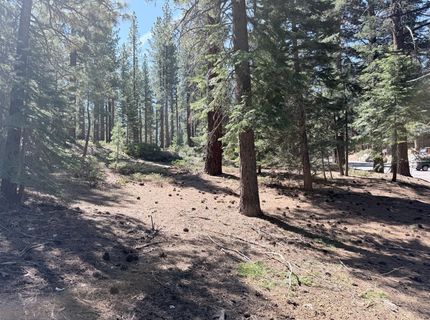 Gold Dust Trl, South Lake Tahoe, CA 96150 Photo