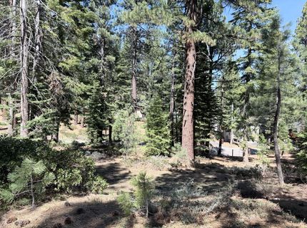 Gold Dust Trl, South Lake Tahoe, CA 96150 Photo