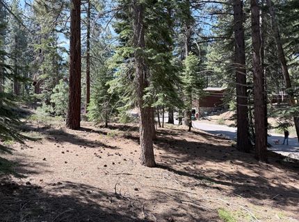 Gold Dust Trl, South Lake Tahoe, CA 96150 Photo