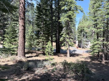 Gold Dust Trl, South Lake Tahoe, CA 96150 Photo