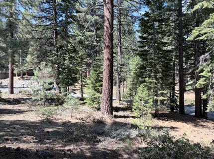 Gold Dust Trl, South Lake Tahoe, CA 96150 Photo