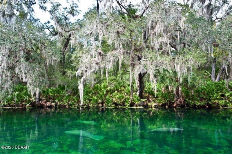 2172 N Spring Garden Avenue, Deland, FL 32720 Photo