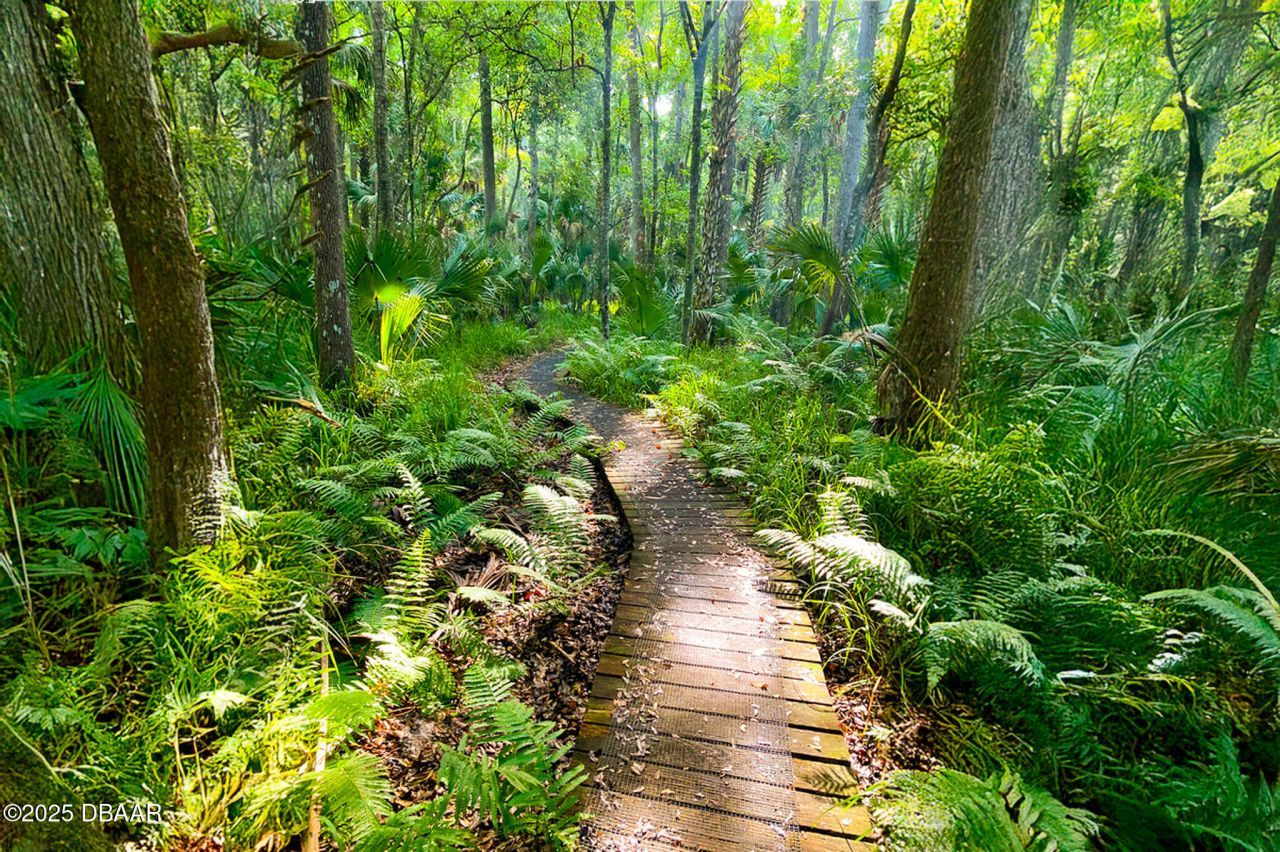 2172 N Spring Garden Avenue, Deland, FL 32720 Photo