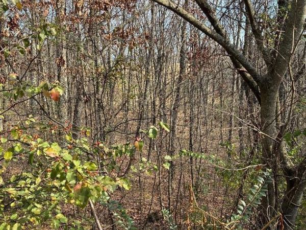 00 Poplar Drive Lot 31 Drive, Sweetwater, TN 37874