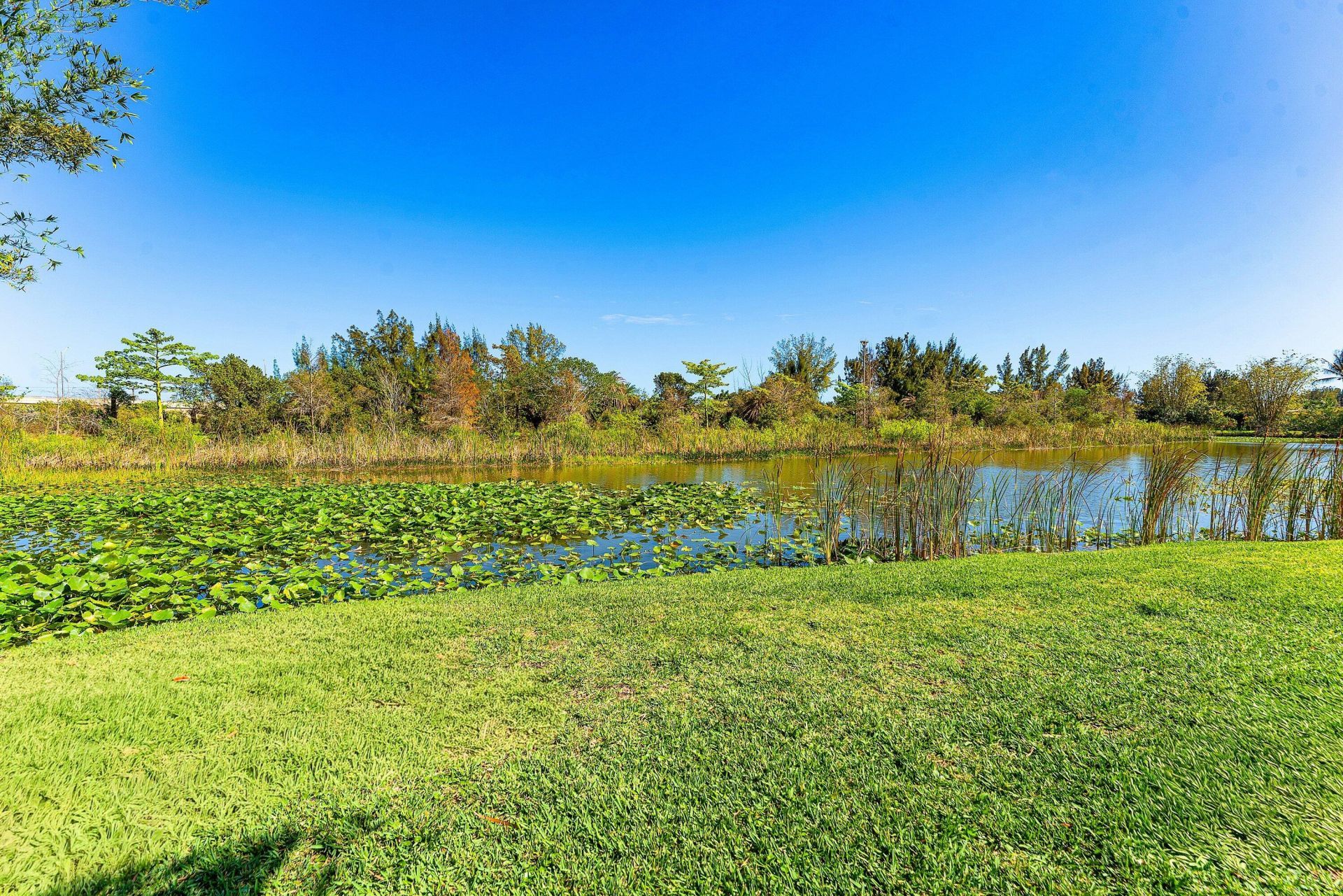 110 Wilson Road, West Palm Beach, FL 33406 Photo