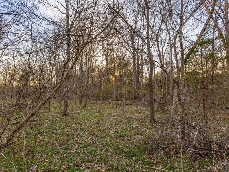 0 Lura Lane, Bratton Twp, OH 45660 Photo 10