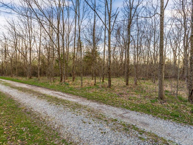 0 Lura Lane, Bratton Twp, OH 45660 Photo 12