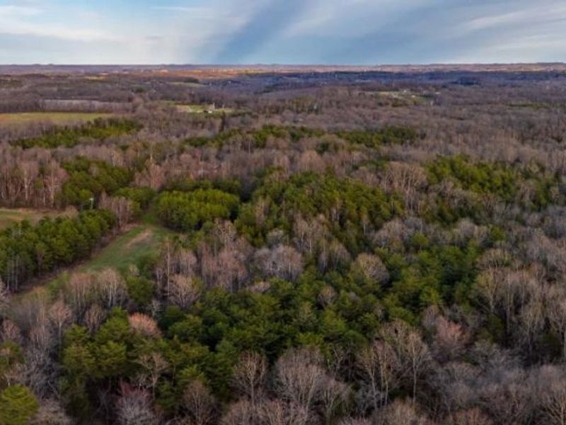 0 Lura Lane, Bratton Twp, OH 45660 Photo 3