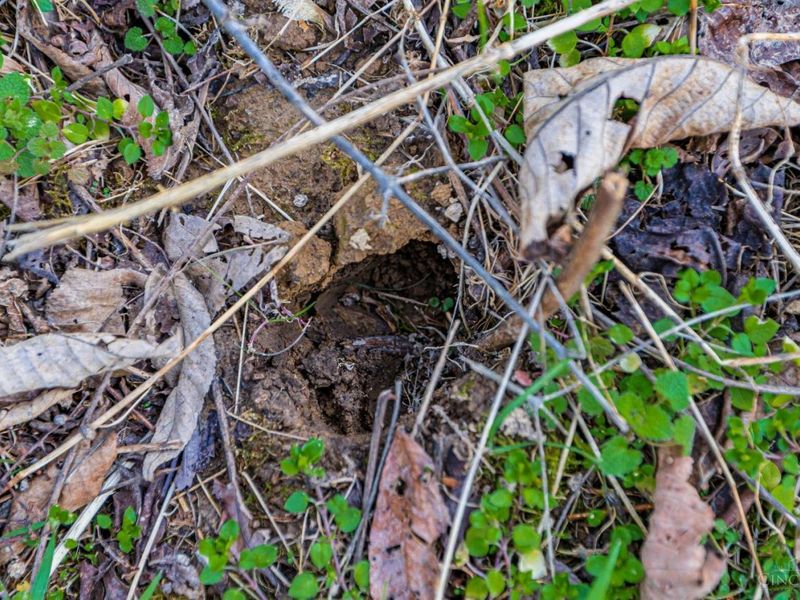 0 Lura Lane, Bratton Twp, OH 45660 Photo 6