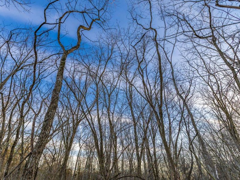 0 Lura Lane, Bratton Twp, OH 45660 Photo 7