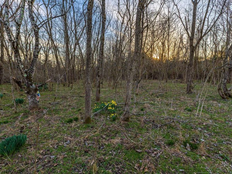 0 Lura Lane, Bratton Twp, OH 45660 Photo 8