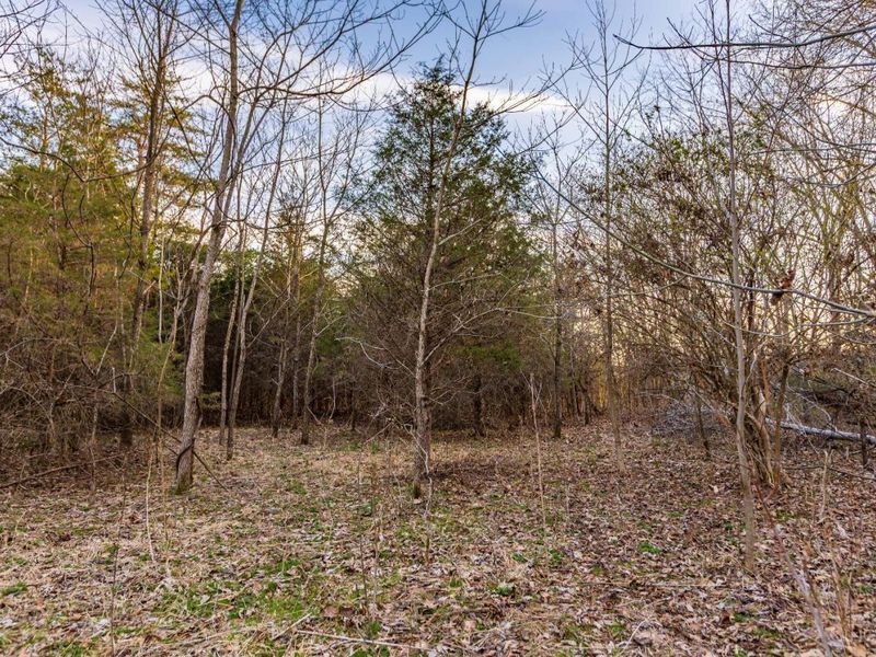 0 Lura Lane, Bratton Twp, OH 45660 Photo 9