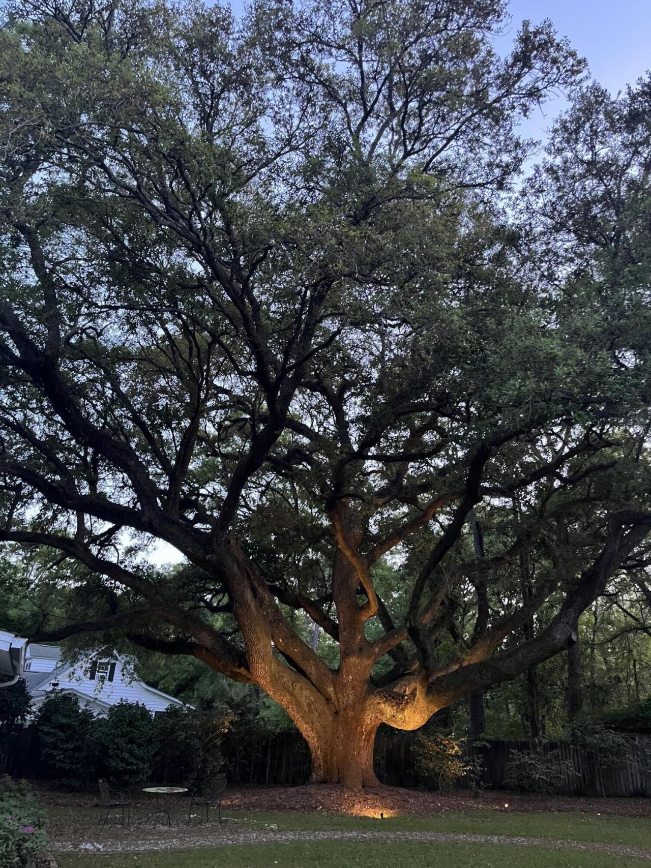 111 E Carolina Avenue Photo 102