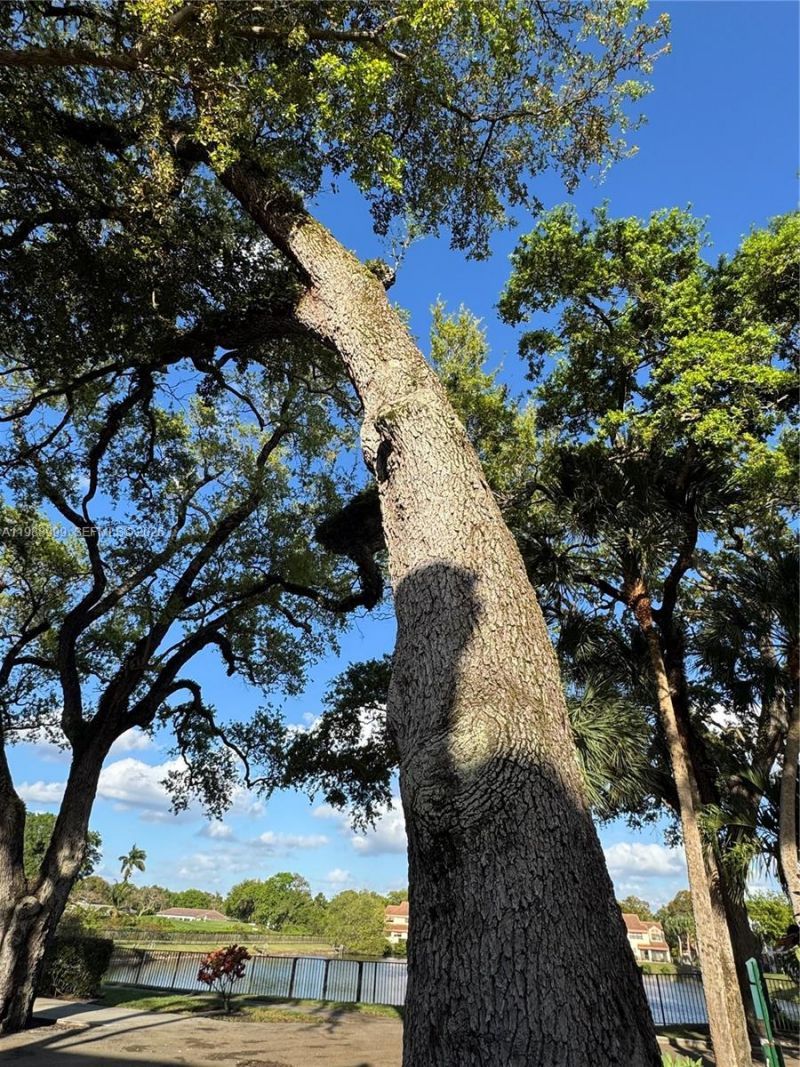 3212 Arbor Ln, Unit 2407, Hollywood, FL 33021 Photo