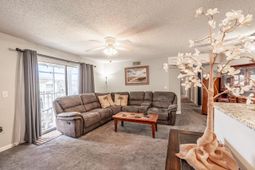 8845 Chandler Dr. photo 4